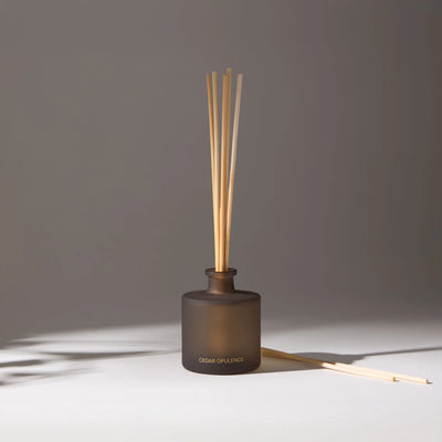 A room diffuser with wooden sticks in a dark, decorative and aromatic vase, ideal for creating a relaxing and elegant atmosphere.
